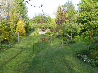 2020-05-08 Garteneinblick 2.jpg