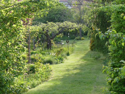 2020-05-08 Garteneinblick 5.jpg