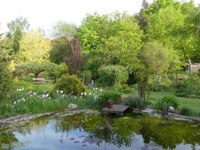 2020-05-08 Garteneinblick 11.jpg
