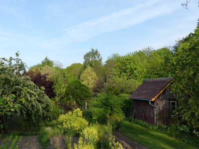 2020-05-08 Garteneinblick 12.jpg