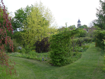 2020-05-08 Garteneinblick 19.jpg