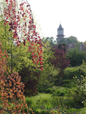 2020-05-08 Gartenimpressionen 1.jpg