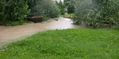 Durch_den_Obstgarten_DSCN4640.jpg
