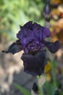 D5689.JPG