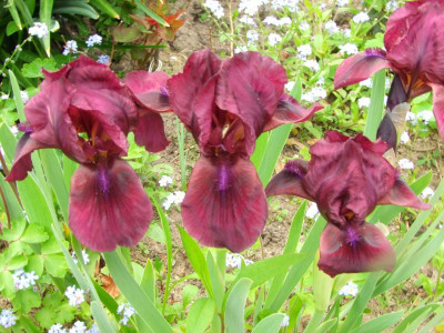 2020_0208Mai20200013.JPG