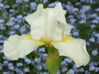 2020_0208Mai20200023.JPG