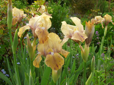 2020_0208Mai20200029.JPG