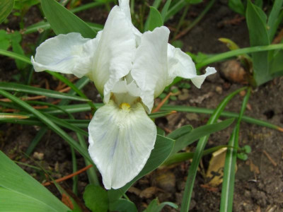 2020_0208Mai20200096.JPG