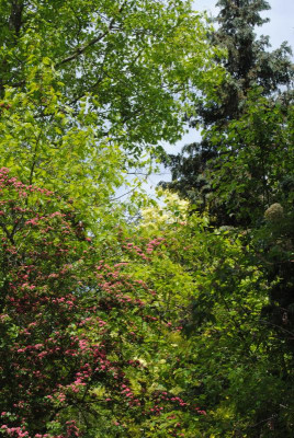 DSC_0474.JPG