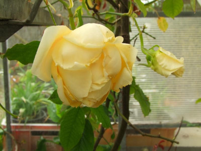 2020_0208Mai20200019.JPG