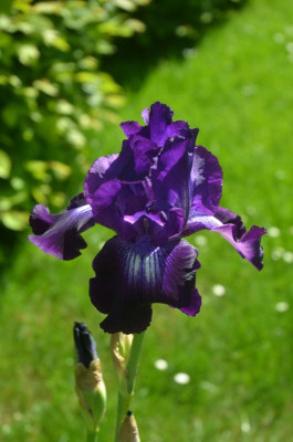 D5697.JPG