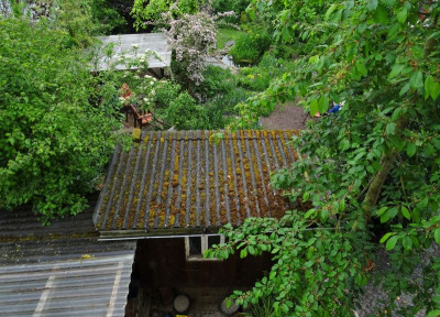 DSC03357.JPG