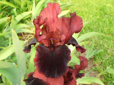 2020_021010Mai0119.JPG