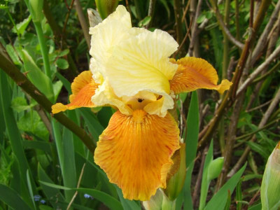 2020_021010Mai0120.JPG
