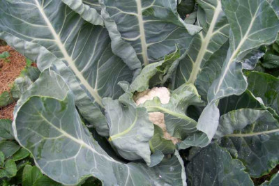 K640_100_4043.JPG