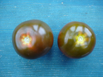 kumato1.jpg