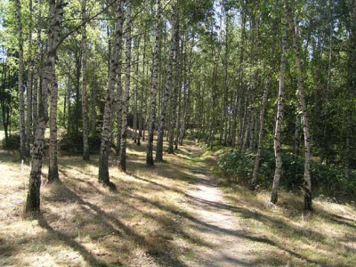 blockheide1.jpg