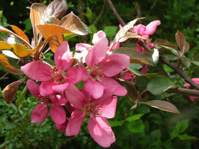 2020_021010Mai0104.JPG
