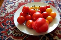 tomaten_und_groente_198.jpg