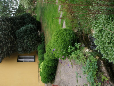 P5120004.JPG