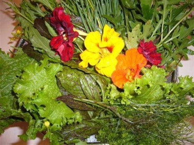 frisch_aus_dem_Garten.11.08.2007..JPG