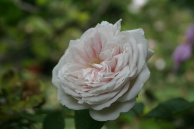 marie_dermar_IMG_0906.jpg