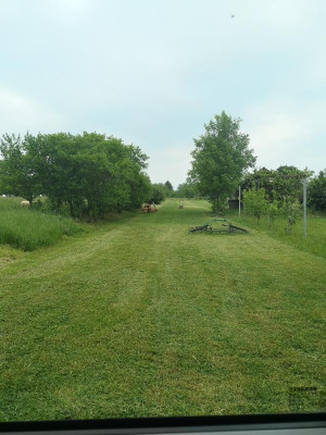 IMG_20200514_185811.jpg