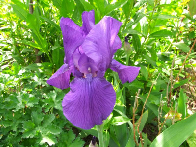 2020_021616Mai0002.JPG