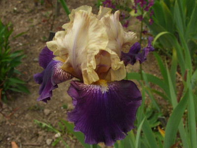 2020_021616Mai0041.JPG