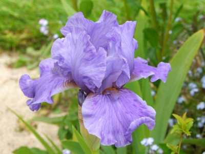 2020_021616Mai0036.JPG