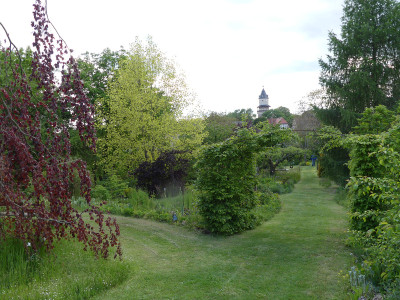 2020-05-16 Garteneinblick 1.jpg