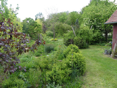 2020-05-16 Garteneinblick 4.jpg