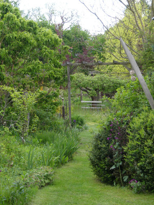 2020-05-16 Garteneinblick 7.jpg
