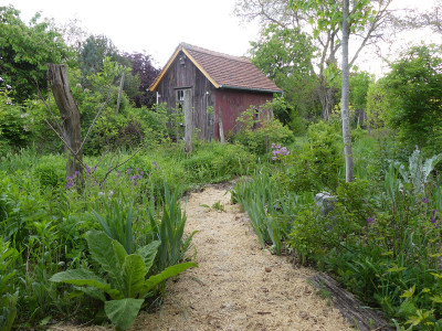 2020-05-16 Garteneinblick 8.jpg