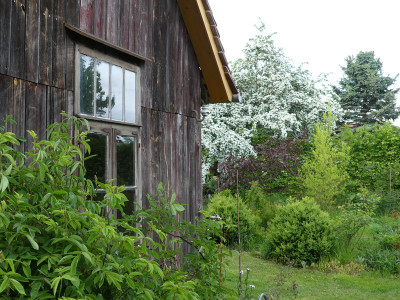 2020-05-16 Garteneinblick 10.jpg