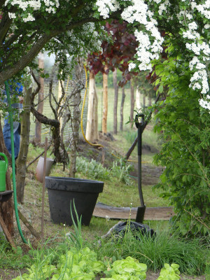 2020-05-16 Gartenimpressionen 2.jpg
