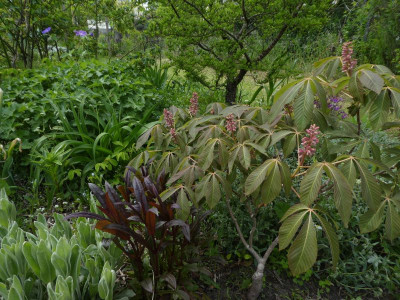 allerlei 200516.jpg