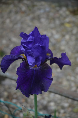 D5855.JPG