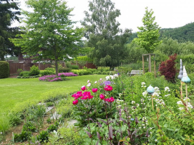 20190611_151205.jpg