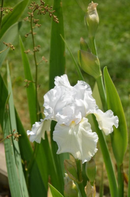 D5877.JPG