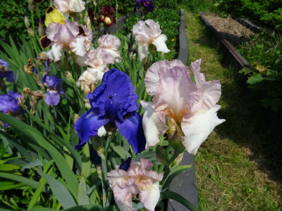 DSC00048.JPG