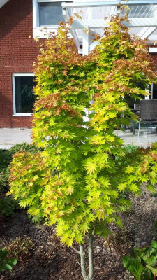 20200519_090107.jpg