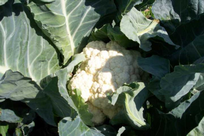 K640_100_4061.JPG