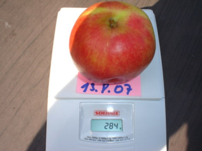 7214.jpg