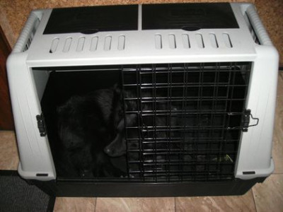 Petzi-Box.jpg