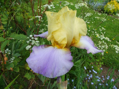 2020_0221Mai210009.JPG