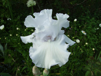 2020_0221Mai210012.JPG