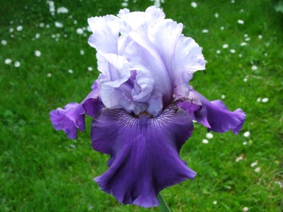 2020_0221Mai210018.JPG