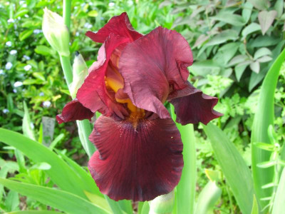 2020_0221Mai210028.JPG