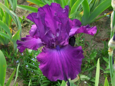 2020_0221Mai210037.JPG